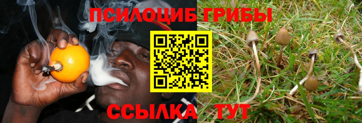 Алапаевск  Галлюциногенные грибы ЛСД  Вход с VPN 